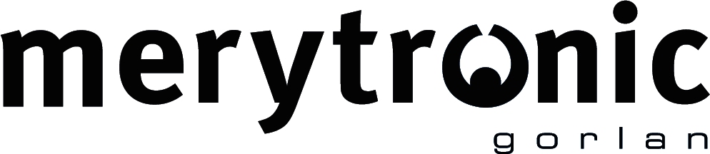 Merytronic Logo